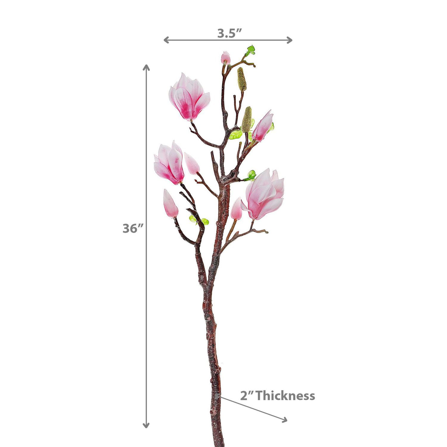 Magnolia Grand Rose En Rose