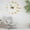 Gold GD, variant on Iumwxz wall clock Large Wall Clock Watch DIY Sticker Wall Clocks Pared Home Decoration Special Living Room Home Decoration Office Shop Art Decor horloge murale Black Acrylic Today Discount