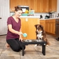 thumbnail image 3 of Pet Zone Designer Diner Adjustable Elevated Dog Double Feeder, 3 of 10