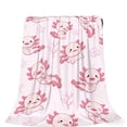 thumbnail image 1 of Hearth & Gear Soft Blanket For All Seasons Cozy Warm Bed Couch Throw With Double Brushed Microfiber Blanket Tutorial Size Blanket Lightweight Saw Blanket Heated Soft Blanket Blankets Bed Blanket Full, 1 of 3