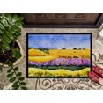 thumbnail image 3 of Carolines Treasures 6053MAT Tapis Paysage Intérieur Ou Extérieur - 18 x 27 Po., 3 of 4