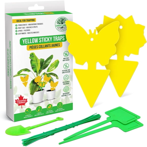 Canuck Landing® Yellow Sticky Traps – 20 Pcs, Dual-Sided Insect Traps for Plants, Fruit Fly, Gnat, Whitefly & Aphid Control, Non-Toxic, Indoor/Outdoor Use, Hydroponic & Plant Protection