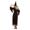 thumbnail image 1 of RG Costumes 81423 Witch Of The Forest Costume - Size Adult Standard, 1 of 1