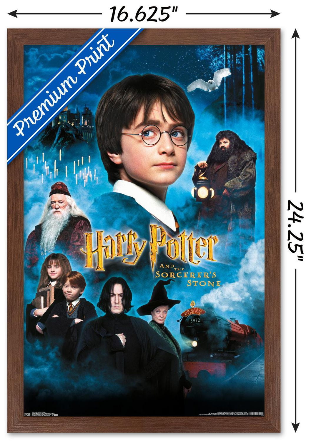 Harry Potter and the Sorcerer's Stone - Candles One Sheet Wall Poster