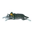 thumbnail image 4 of lionlar 1/64 Miniature Animal Model Realistic for Photography Props Diorama Ornament Husky, 4 of 9