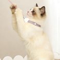 thumbnail image 3 of Interactive Smart Cat Collar with Wearable LED Lights for Indoor Exercise and Amusing, 3 of 5