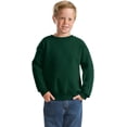 thumbnail image 3 of Hanes ComfortBlend EcoSmart Chandail à Col Rond pour Garçon, P, Vert Forêt Profond, 3 of 6
