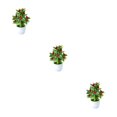 thumbnail image 4 of Youkk Stylish Ambience False Plants Collection Materials Artificial Potted Plants Zhaocai Tree Fruit 3Set, 4 of 6