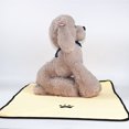thumbnail image 1 of TopLLC Pet Towel Super Absorbent Quick-drying Machine Washable Bag Cleaning Dog Towel, 1 of 2