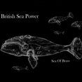 thumbnail image 1 of British Sea Power Sea of Laiton [Étui] CD, 1 of 1
