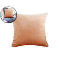 thumbnail image 1 of Dvruxg Velvet Throw Pillow Covers 16x16 Inch - Soft Square Decorative Cushion Cover for Couch, Sofa, 1 of 5