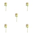 thumbnail image 2 of Baohd 1/2/3/5 10pack/lot Realistic Appearance Artificial Flower For Party Decor And Home Decor Light Green 5PCS, 2 of 6