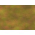 thumbnail image 1 of Ahgly Company Tapis d'Intérieur Lavables en Machine à l'Aide d'Un Rectangle de Transition Brun Bronze Foncé, 2' x 4', 1 of 7