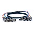thumbnail image 1 of XLR-QUAD-6 - 6 FT Quad XLR Cable, 1 of 1