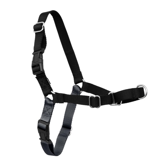 PetSafe Harnais pour Chien Facile à Marcher Sans Traction - le Harnais Ultime pour Aider à Arrêter de Tirer - Prendre le Contrôle et Enseigner de Meilleures Manières avec Laisse - Aide à Prévenir les Pe