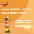 thumbnail image 3 of Del Monte Nectar de Pêche 960ml, 3 of 6