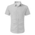 thumbnail image 4 of BOBOGOJP Chemise Classique à Manches Courtes pour Homme, Manches Courtes, Plage, Décontractée, Coupe Régulière, Hauts, Gris G, 4 of 4