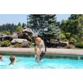 thumbnail image 3 of S.R. Smith BASK-CH Jeu de Piscine, Acier Inoxydable, 3 of 3