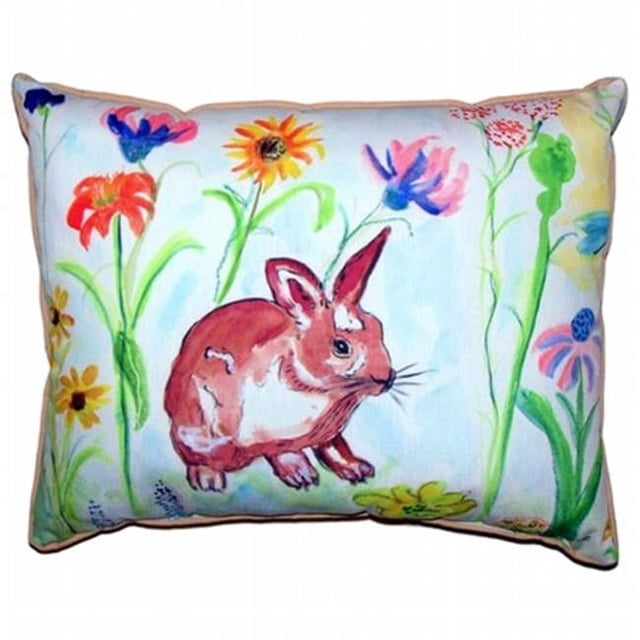 Betsy Drake HJ428 Whiskers Grand Oreiller Intérieur et Extérieur