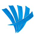 thumbnail image 4 of S SERENABLE 12 Pack s - 4 Inch Natural Turkey Feathers - Fletching DIY Hunting Training Light Blue, 4 of 9