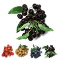 thumbnail image 2 of Artificial Fruit Lifelike Creative Decorative Fake Fruit Photography Prop, 2 of 7
