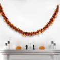thumbnail image 3 of Style A 78.74In Halloween Tinsel Garland Pet Pumpkin Skull Design For Party Wall Ceiling Decor Scene Setup With Fringe Pull String A, 3 of 4