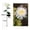 Blanc, variante sur Piwvid Lumières de Jardin à Fleurs à DEL à Énergie Solaire avec Piquets de Sol, Éclairage Extérieur Automatique du Crépuscule à l'Aube pour Allées de Cour, Patios et Jardins