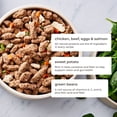 thumbnail image 4 of Freshpet Fresh Dog Food, Multi-Protein Recipe, Freshly Roasted Meals 1.36KG, 4 of 8