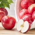 thumbnail image 2 of Apple, Macintosh, Sold in singles, 0.13 - 0.18 KG, 2 of 2