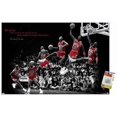 thumbnail image 1 of Michael Jordan - Voler, 1 of 4