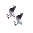 thumbnail image 2 of Langgg Simulation Foam Model Party Favors 2pcs Bird Foam Gifts Artificial Easter 2 pcs Style A, 2 of 4