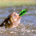 thumbnail image 5 of Cicada Attrape-pêche Attractif pour Bar en Eau Douce Plastique Réaliste avec Hameçon Fort Appâts de Natation Réutilisables, 5 of 5