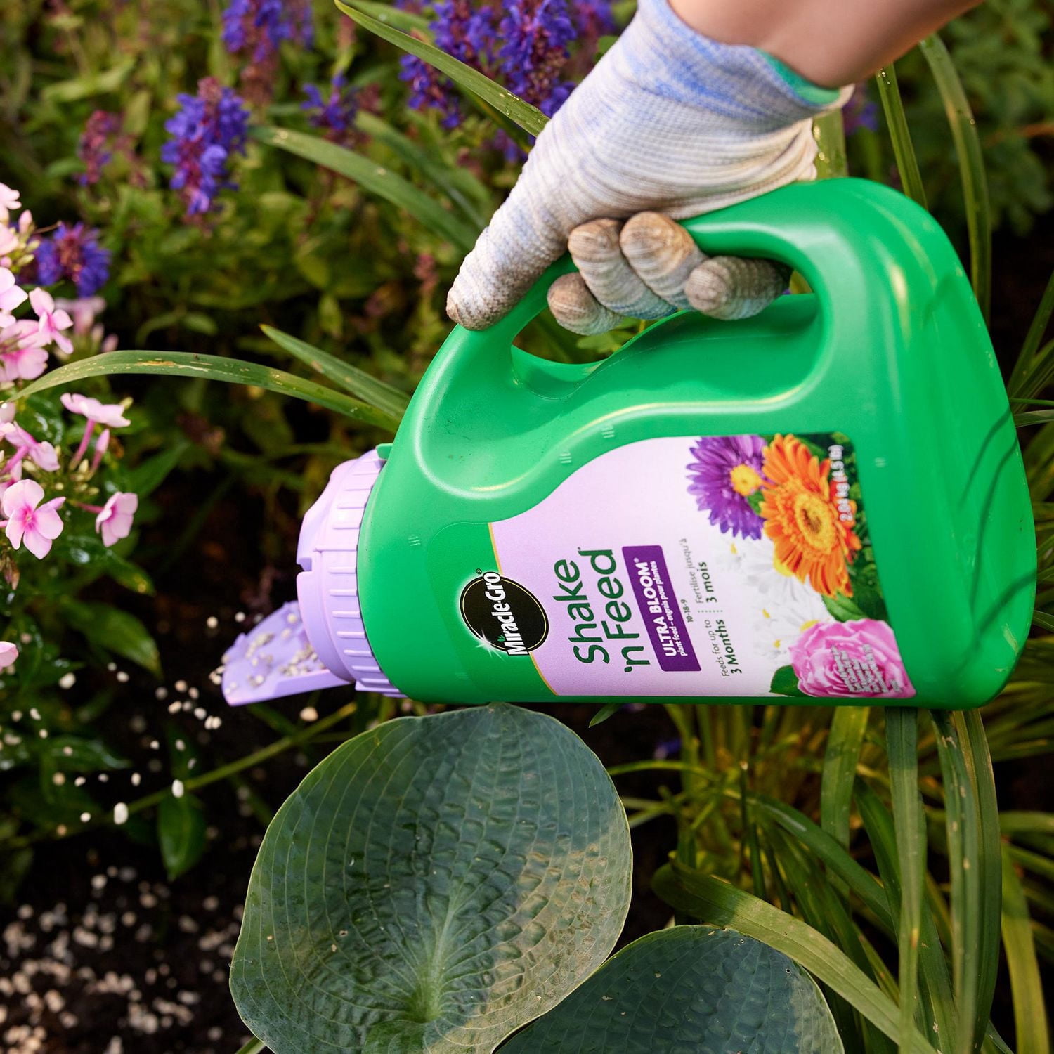 Miracle-Gro Shake N Feed Ultra Bloom Plant Food 10-18-9  2.04 Kg