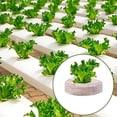 thumbnail image 4 of Blocs de Terreau de Plantation Bouchon Nutrition Blocs de Tourbe Compressée Terre de Coco Tourbe Blocs de Semis Compressés, 4 of 8