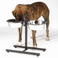 thumbnail image 1 of Gamelles pour Chien Surélevées et Réglables Qui Rendent l'Heure du Repas Plus Confortable (96 oz), 1 of 1