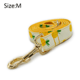 thumbnail image 2 of Cat collars, Dog collars, Cat leashes, Dog leashes, Small Dog collars, Medium dog collars,, 2 of 5