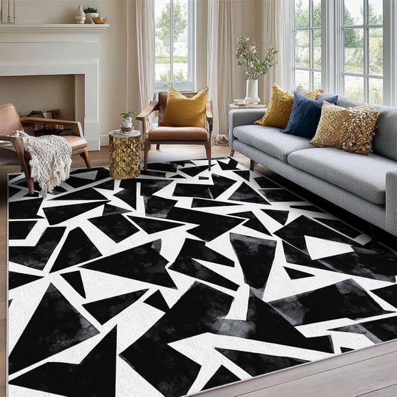 Tapis de Zone Noir et Blanc, Motif d'Art Abstrait Moderne, Tapis Lavable Antidérapant à Poil Ras et Doux pour Salon Chambre Déco Tapis 2x3 Pi