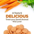 thumbnail image 2 of Living World Small Animal Drops, Carrot Flavour, 75g, 2 of 12