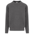 thumbnail image 1 of Awdis Chandail en Molleton Épais pour Hommes Diplômés, 1 of 2