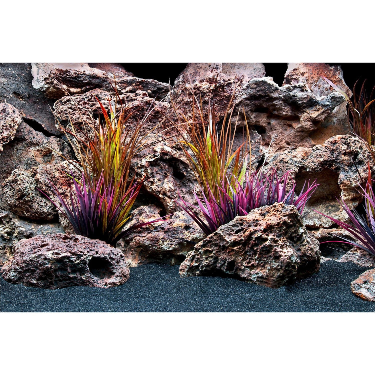 Marina Fond d'Aquarium Double Face, Flore de Jungle et Dentelle Rouge, 12 Pouces x 24 Pouces