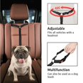 thumbnail image 4 of AMERTEER Adjustable Bungee Safety Seatbelt for Pets  Black, 4 of 7