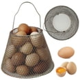 thumbnail image 1 of AMERTEER Egg Basket Galvanized Collapsible Egg Mesh Box Fast-Drying Portable Egg Storage Basket Easy Washing Kitchen Grocery Storage Organizer for Vegetable Onion Potato Fruit, 1 of 9