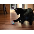 thumbnail image 4 of Multipet Pom Pom Cat Toy, Assorted Colors, 4 of 8