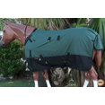 thumbnail image 5 of Hilason Drap de Pluie Imperméable 1200D pour Chevaux Vert, 5 of 5