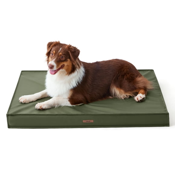 Lesure Outdoor Dog Bed for Medium Sized Dogs, Orthopedic Waterproof Egg Crate Foam Pet Bed with Oxford Fabric Surface and Removable Machine Washable