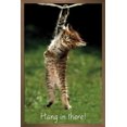 thumbnail image 1 of Célèbre chaton accroché là-bas Poster, 1 of 5