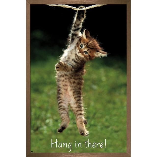 Famous Kitten Affiche Murale « Hang In There », 22,375 Po x 34 Po, Représentant un Chaton Tigré Brun Suspendu d'Une Patte à une Corde sur un Fond Vert Flou, Imprimée sur Papier Lustré, Convient à la Déco de la Maison et à l'Art Mural Motivationnel.