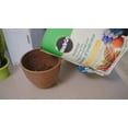 thumbnail image 4 of Miracle-Gro terreau d’empotage pour plantes d'intérieur 17.6L, 4 of 6