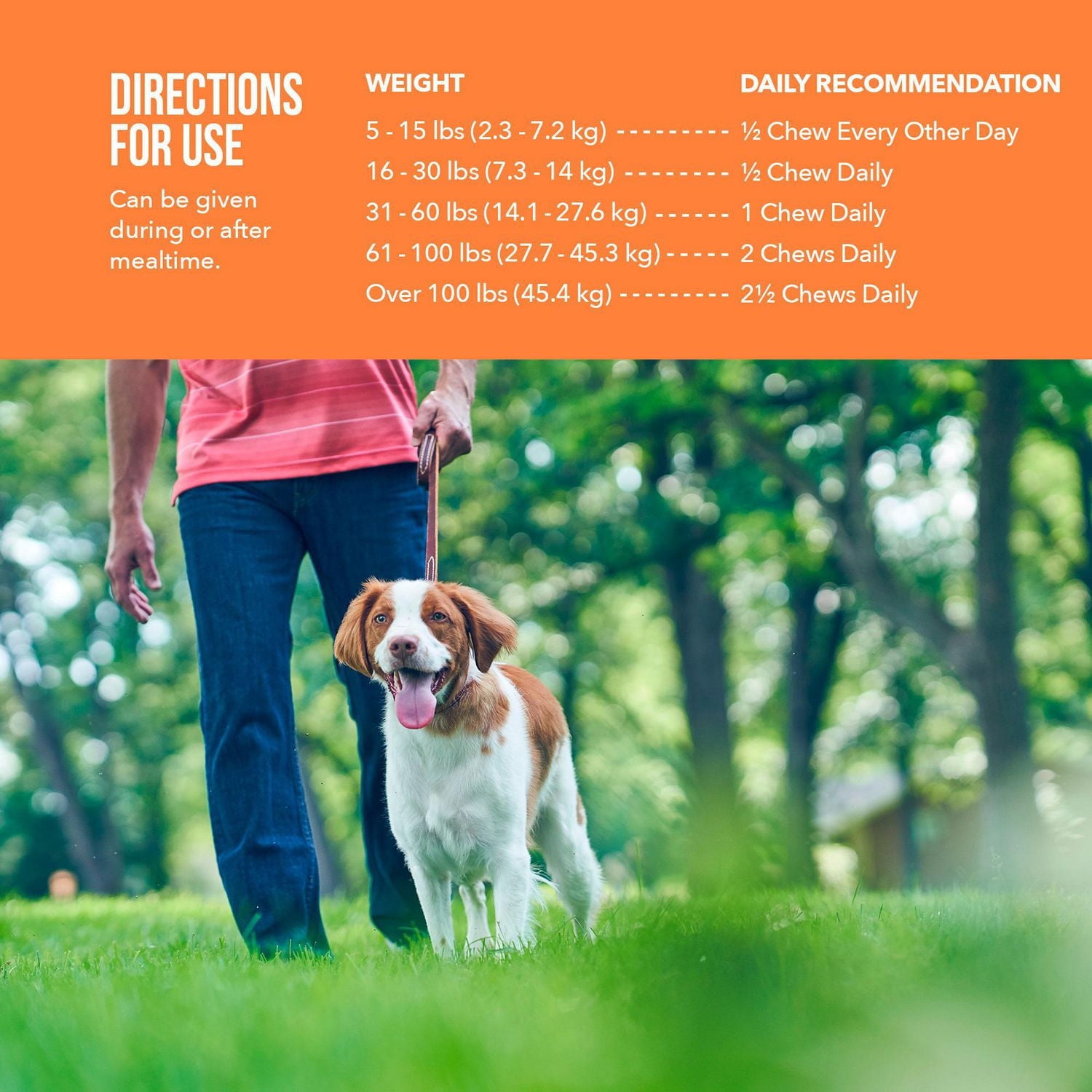Synovi G4 supplément articulaire à mâcher pour chiens de tous âges, tailles et races
