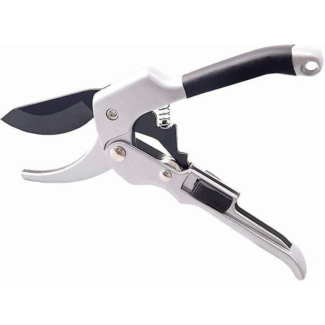 Garden Pruning Shears,professional,sk5 Pruning Shears Stainless Blade,high Point Precision,spring Handles